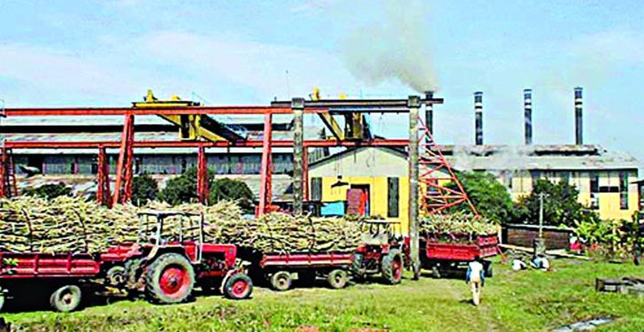 আবারও বন্ধ হচ্ছে চিনিকল !